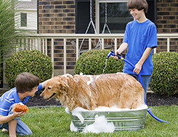 Two children washing a dog. 