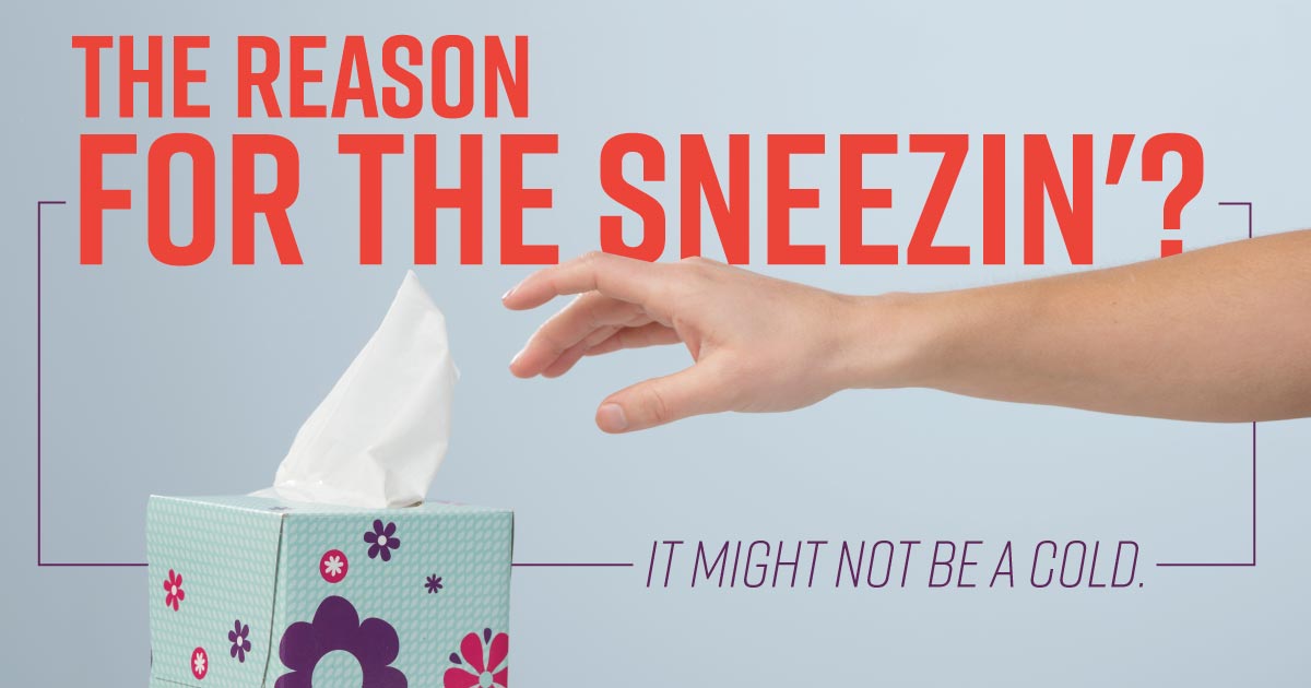 The reason for the sneezin'? It might not be a cold.