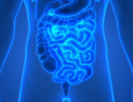 Stylised image of digestive tract