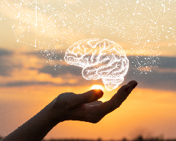 A drawing of a brain is suspended in the air above a photographed hand.