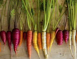 A variety of colorful, nutrient-rich vegetables are displayed on a wooden table. 
