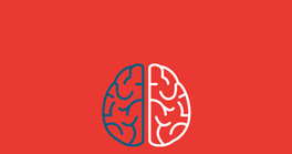   A brain