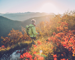 A hiker on a nature trail looks over a mountain vista.