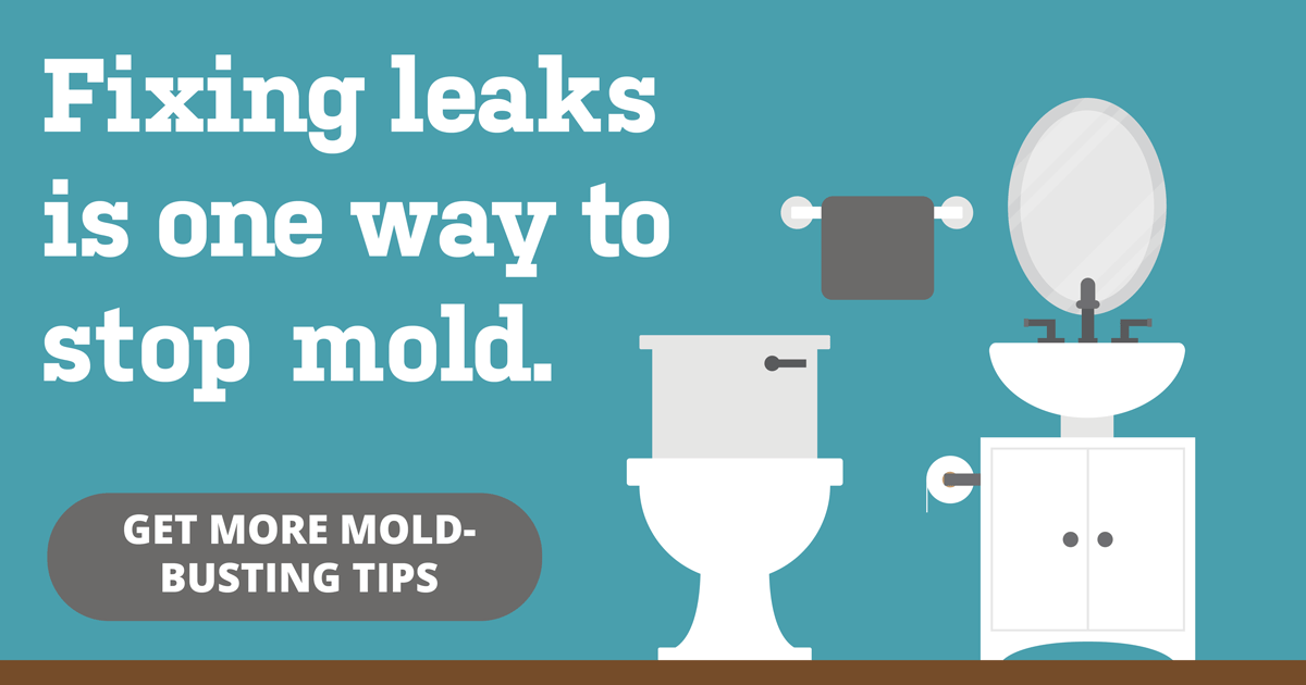 Fixing leaks is one way to stop mold. Get more mold busting tips