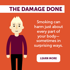 Smoking's damage to the body